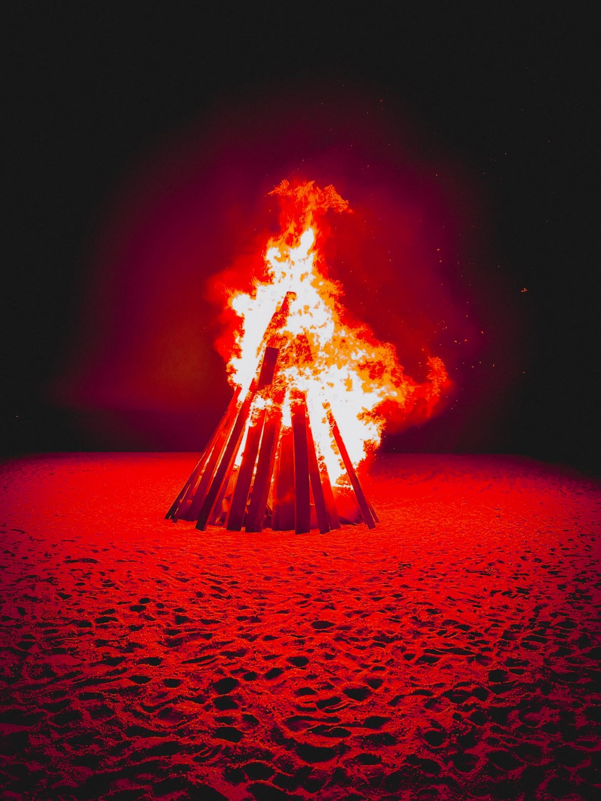 Professional Photography